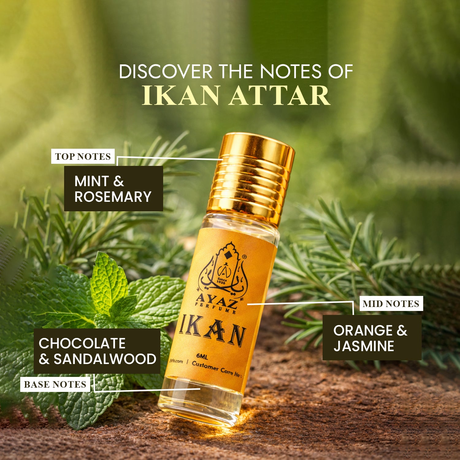 Ayaz IKAN Attar 6ML – Long Lasting Alcohol-Free Roll-On Perfume for Men & Women